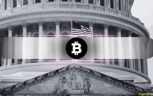 US Is Importing Bitcoin and Exporting Digital Dollars: What Does it Mean?